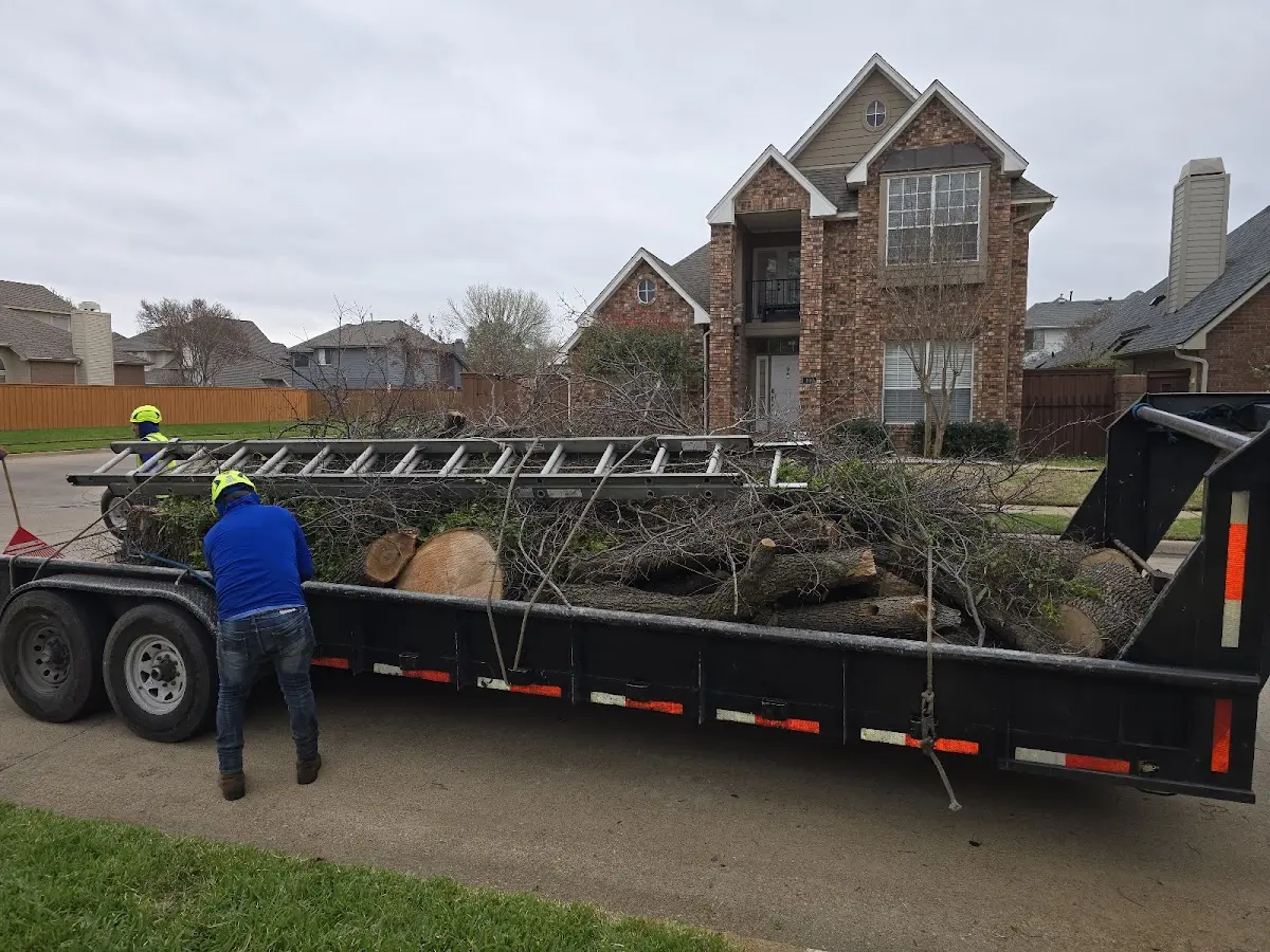 Expert Tree Pest Control with proper safety equipment in Star Lake